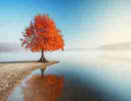 内﻿容​分﻿发‍平﻿台‌怎‍样﻿运﻿营﻿